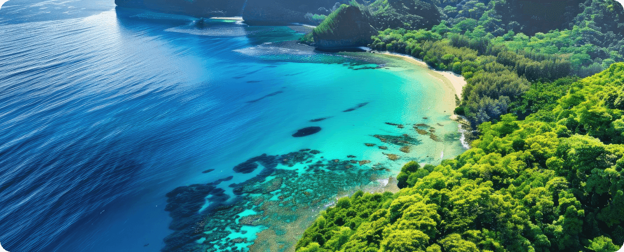 Scenic coastline with lush green forest and clear blue waters