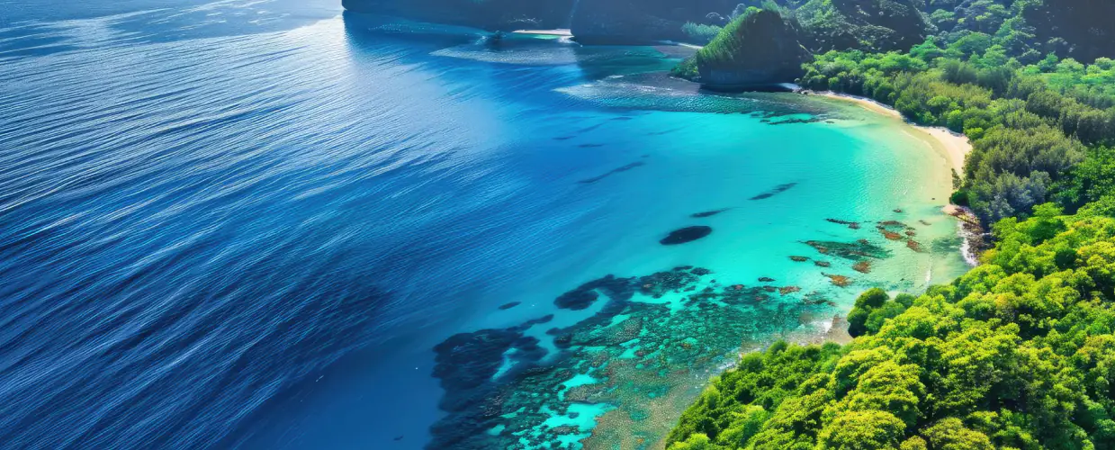 Aerial view of a lush green coastline with crystal clear water