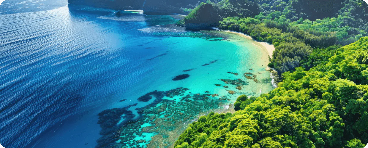 Aerial view of a lush green coastline with crystal clear water